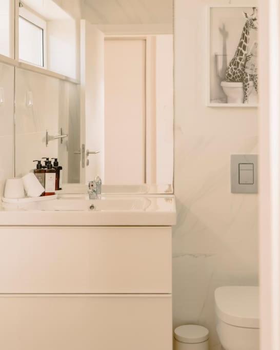 Glam House No Coracao Da Cidade Faro Ngoại thất bức ảnh